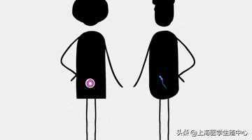 试管婴儿的步骤、预算和时间管理