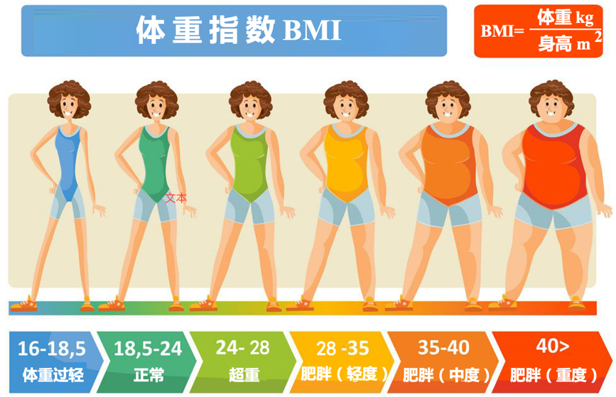 做试管前为什么医生非要我“减肥”