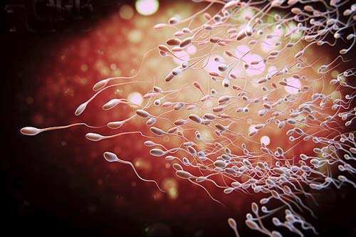 试管婴儿对母体身体有什么要求？