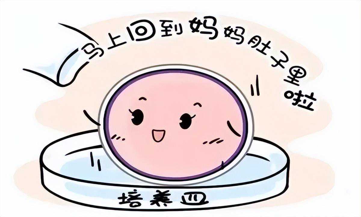 关于试管婴儿 你想知道的都在这里