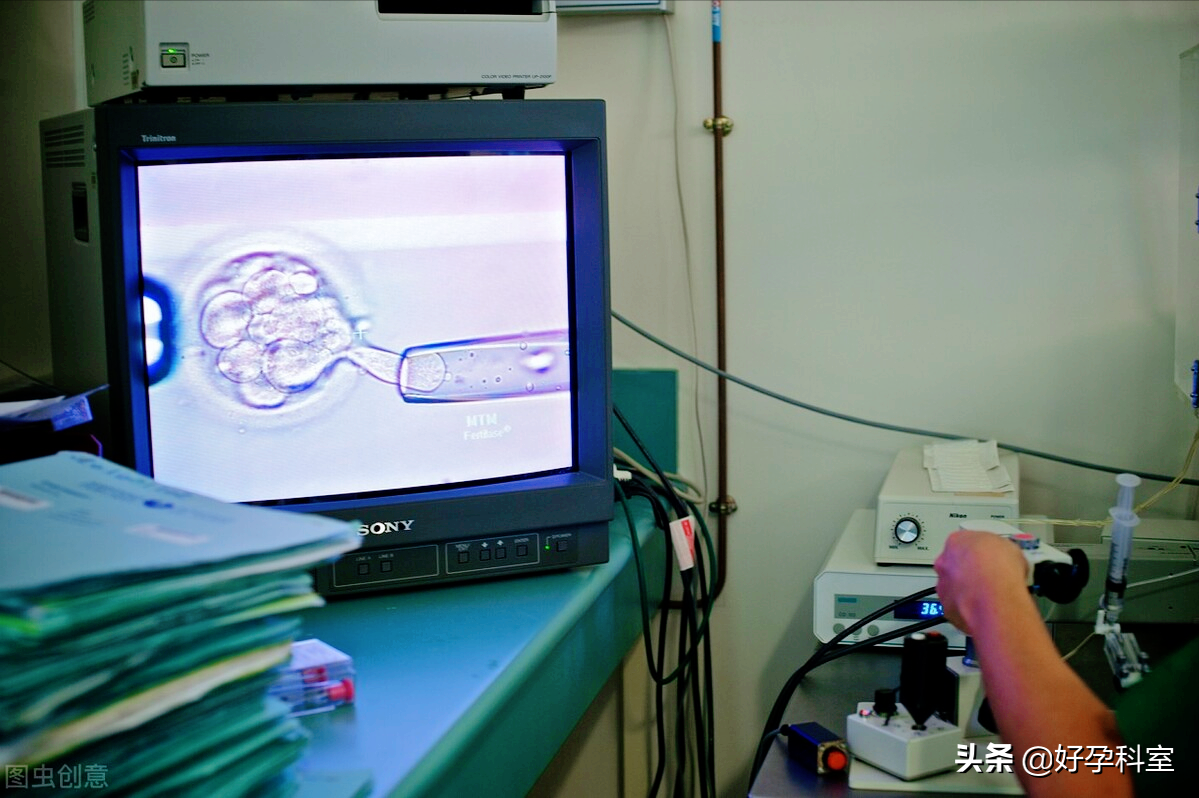 试管婴儿第七天囊胚怀孕率是多少？