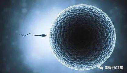 做试管婴儿取的卵子少，是什么原因？