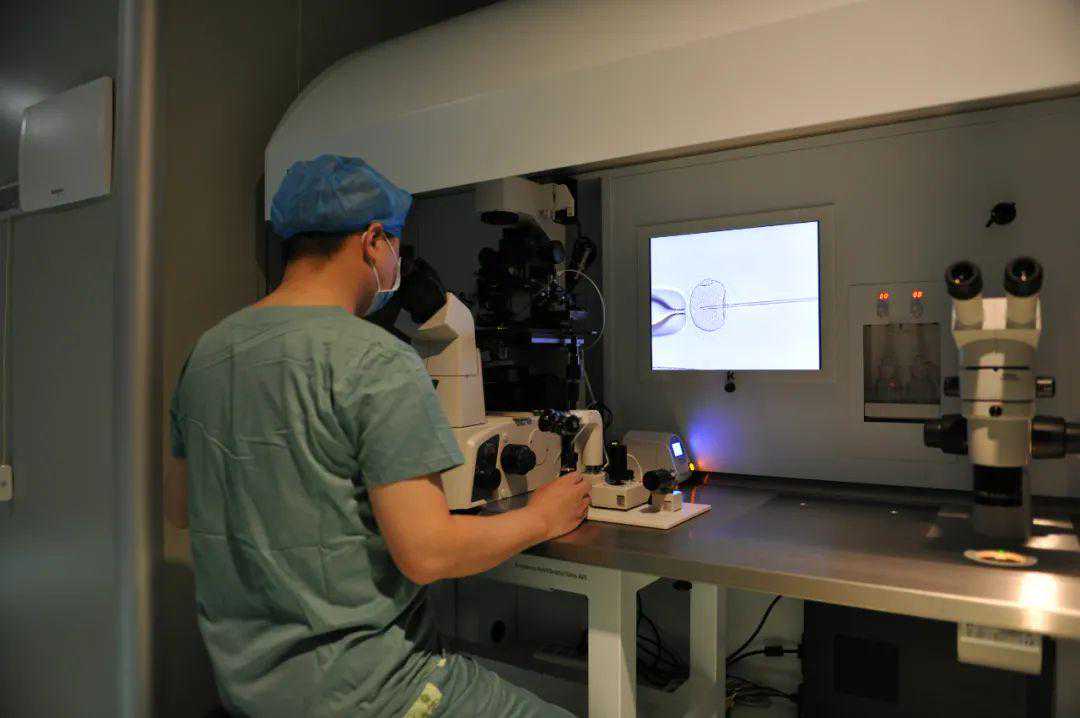 一起探秘“试管”婴儿真正的萌芽之地