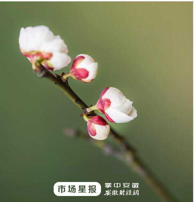 海外游子回国做试管婴儿一次成功