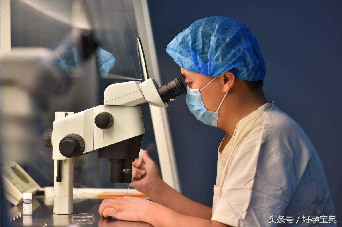 我国内地首例试管婴儿的孕育过程