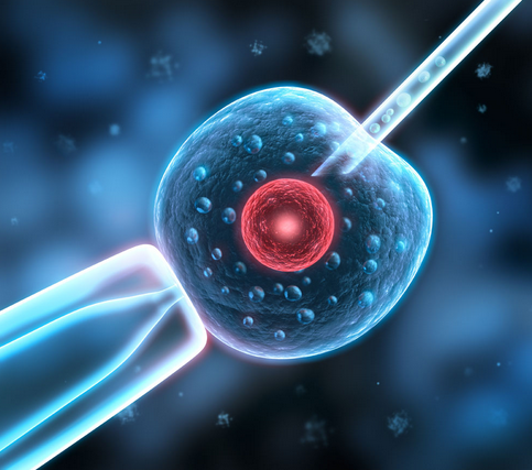 第一次试管婴儿成功，分享好孕，传播正能量