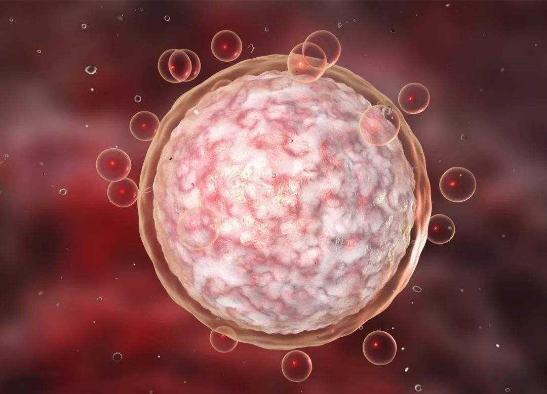 为什么试管取了10个卵，却只获得5枚胚胎？