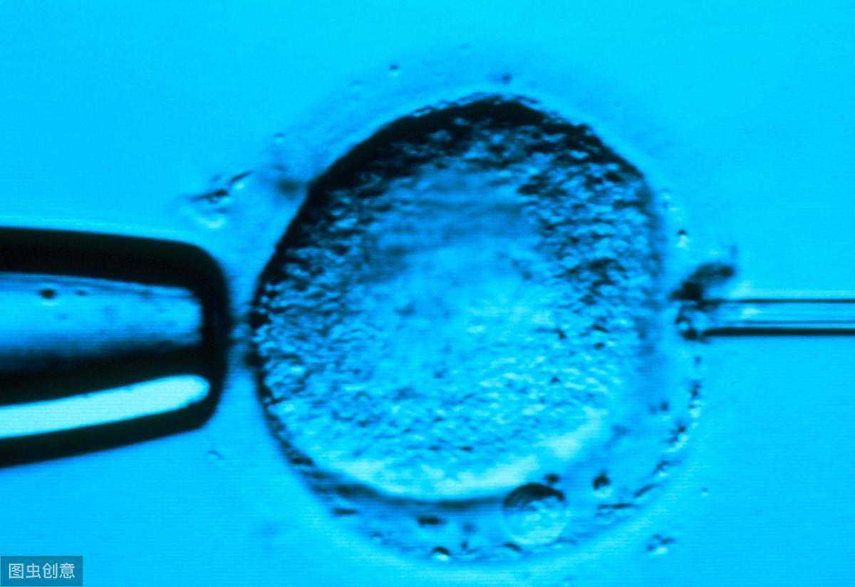 我想生男（女）孩，可以做试管婴儿选择性别吗？