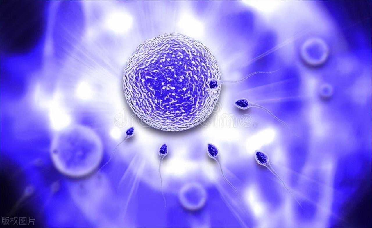 试管婴儿移植之前，应该如何选择胚胎移植？