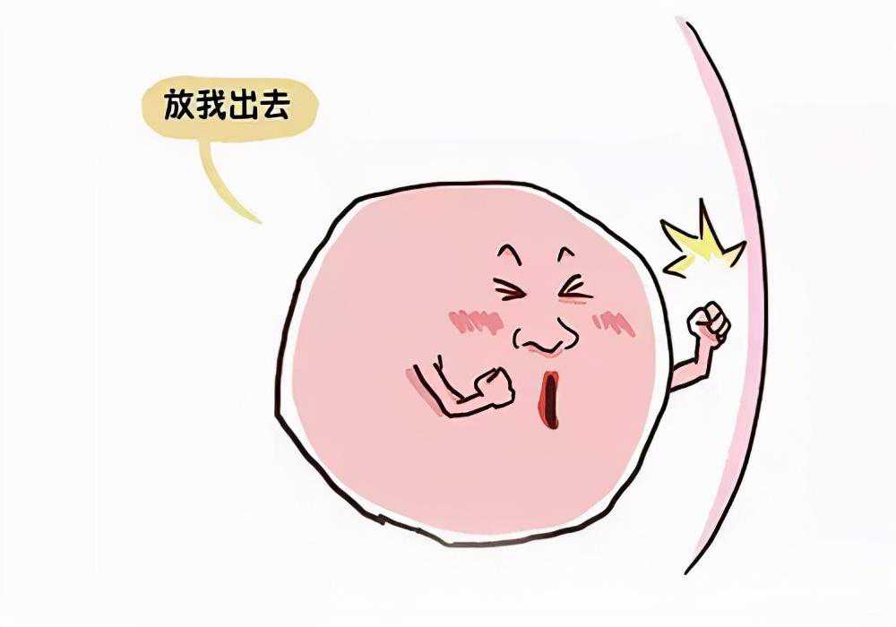 做试管取卵到底痛不痛？取一次要多长时间？