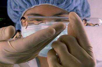 做试管婴儿是不是取卵越多，成功率会越大？