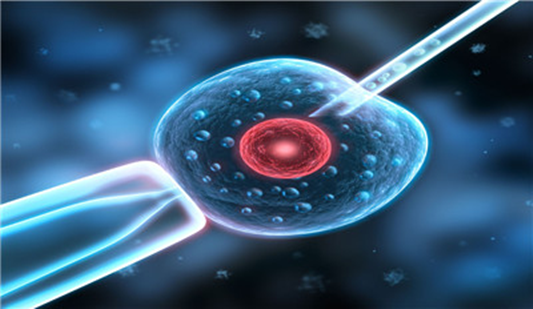 二胎政策催生“试管婴儿”48岁后基本没戏了