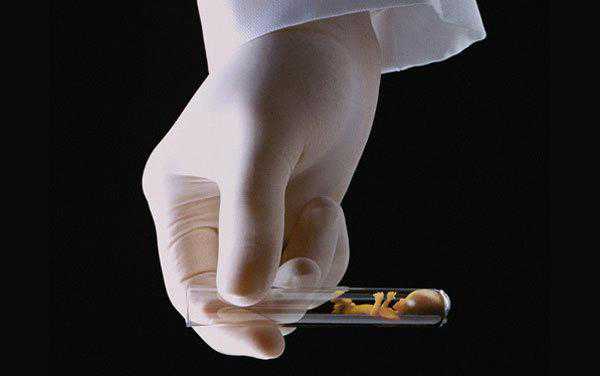 揭秘，“试管婴儿”发育全部过程，太不可思议了！