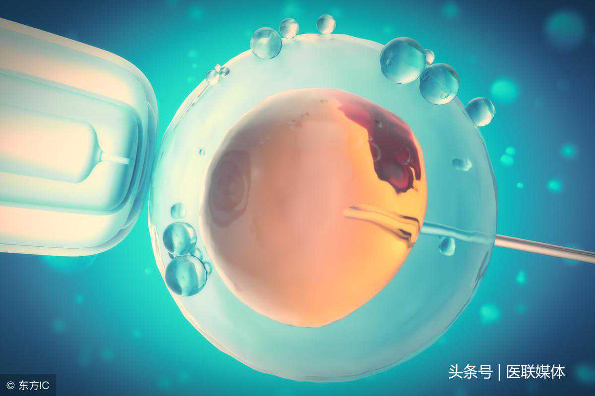 试管婴儿移植失败后，要多久才能再次移植？考虑因素有很多