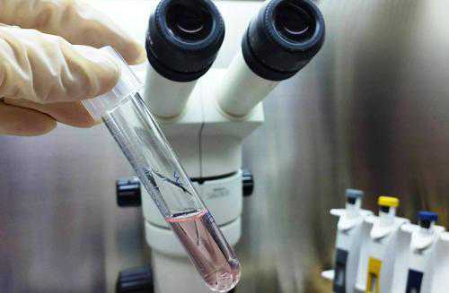 做试管婴儿4次终于成功，妈妈却说：圆了孩子梦，但我很后悔