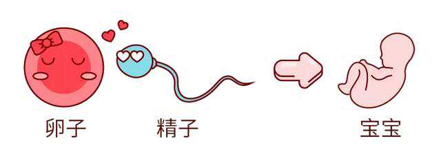 做一次试管需要多久？需要辞职吗？听医生说完心里终于有谱了
