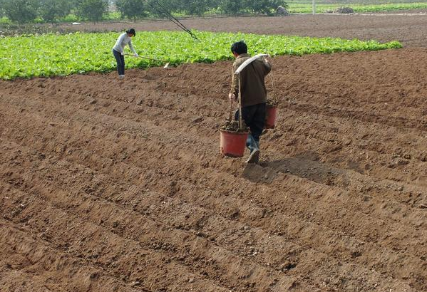 做试管花了十五万了，婆婆找我谈话了，我想了好久终于决定了