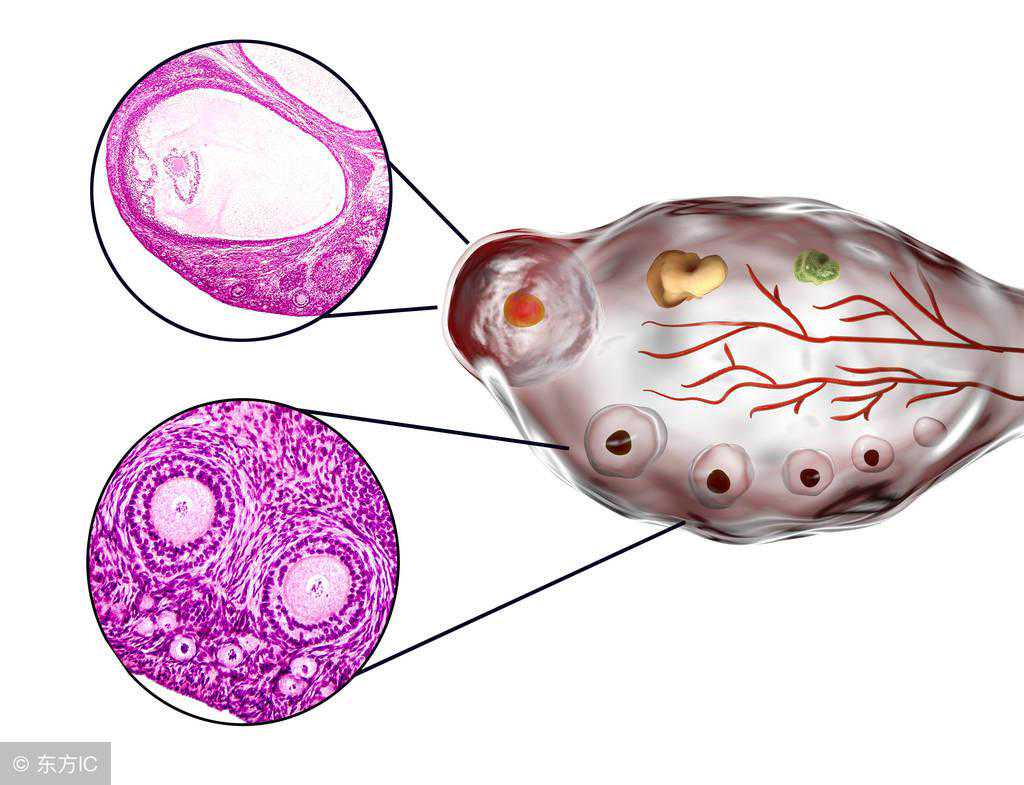 试管取卵后长时间不来月经？这可不正常，得上医院看看了