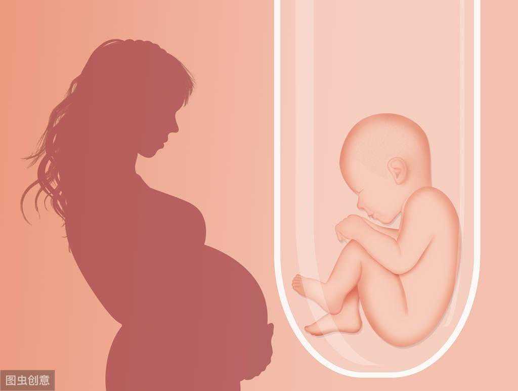 希望试管婴儿成功？6大事项需事先了解，想要宝宝的人不可忽略