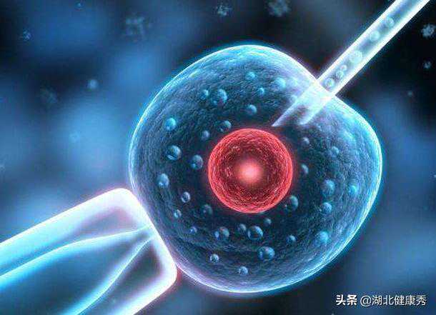 第一次做试管婴儿，不知道需要了解什么？搞懂这5个问题就够了