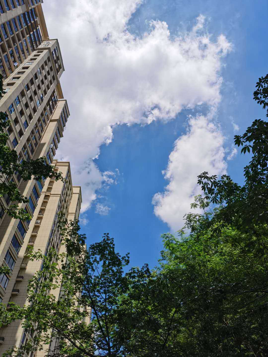 第一次试管移植失败，人生中黑暗的一天，别再纠结，应该要翻篇了