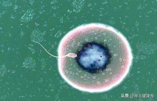 做试管婴儿的女性，都要经历的4道心理考验，过了的人都是强者