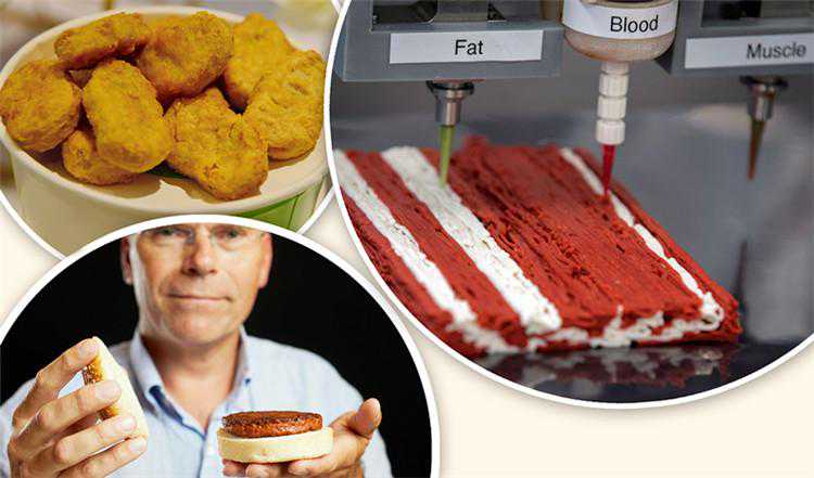 植物蛋白肉、试管培育肉、3D打印肉……“未来肉类”悄然走向人们的餐桌