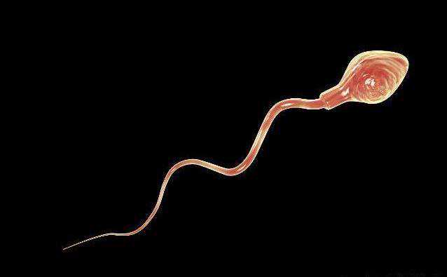 备孕的男人，要尽量避开吃哪几种食物？看看你家老公还在吃吗？