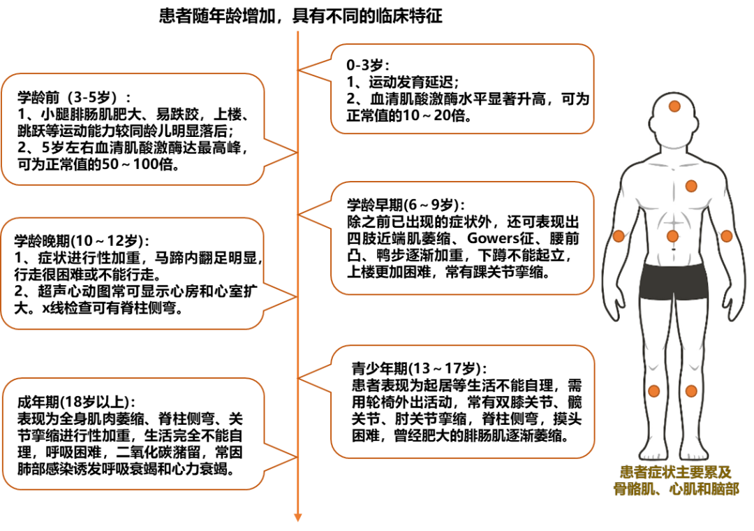 健康学堂 - 罕见病并不罕见！孕期别忘了做这项检测