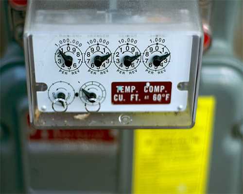 人与猴有生殖隔离，人类却造出人猴“杂交”胚胎，这是怎么回事？