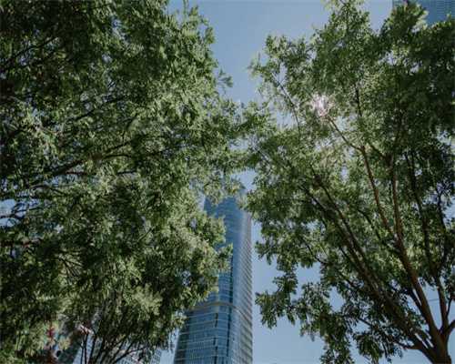 流产后胚胎可以带走吗