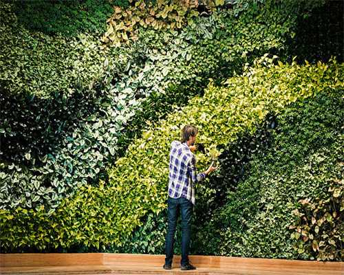 为什么现在我越来越不想上班了?