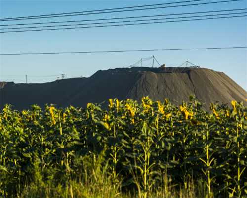 输卵管堵塞能取出卵子吗