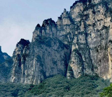 试管怀孕16周还会流产吗，试管怀孕4个月流血是流产征兆吗