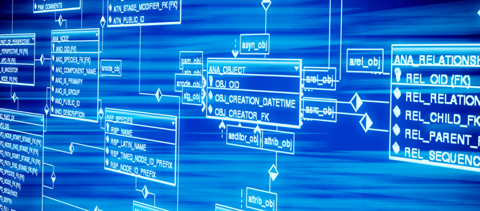 试管婴儿胚胎移植后注意哪些事项呢？